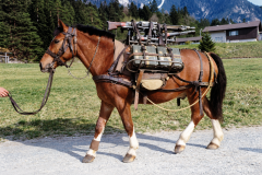 ChatGPT-Image-12.-Sept.-2026-11_08_44