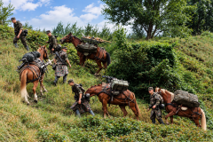 ChatGPT-Image-12.-Sept.-2026-11_14_05