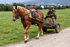 ChatGPT-Image-12.-Sept.-2026-11_15_01