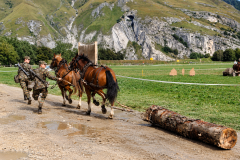 ChatGPT-Image-12.-Sept.-2026-11_17_19