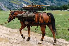 ChatGPT-Image-12.-Sept.-2026-11_20_57
