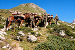 Train-Image-12.-Sept.-2026-17_11_12