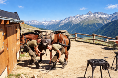 Train-Image-12.-Sept.-2026-17_19_40